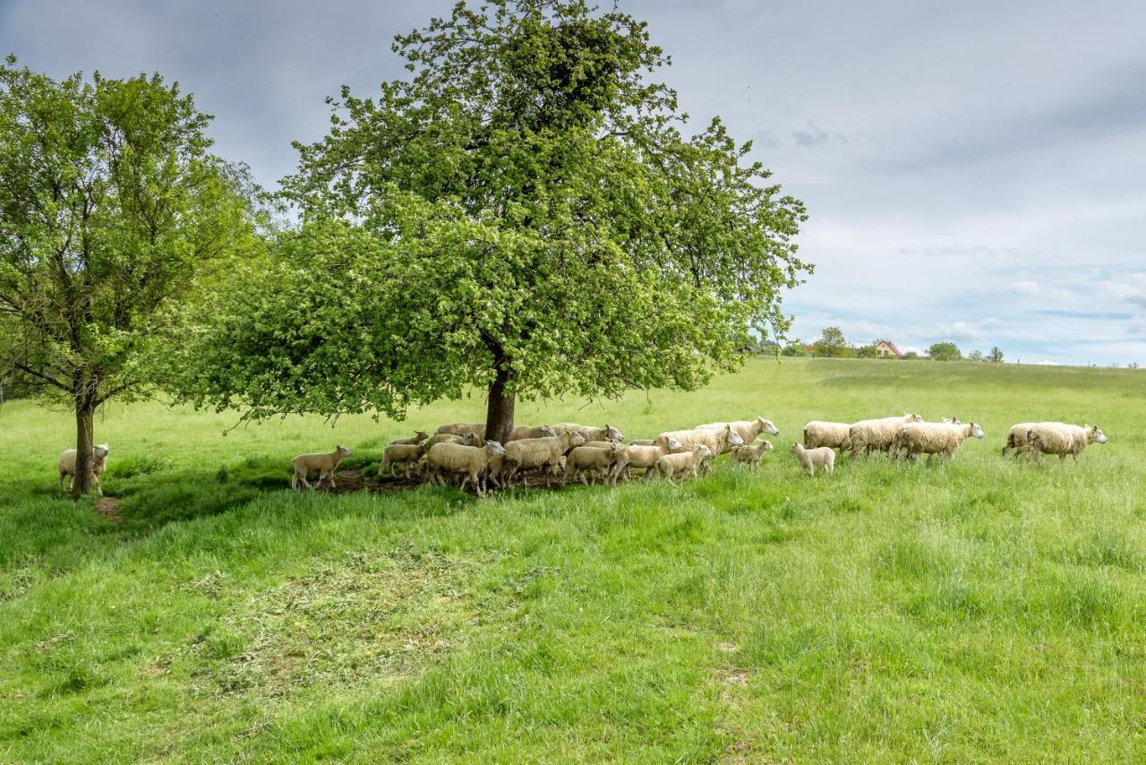 Agroturistika - "Domecek U Ovecek" Villa Horní Těrlicko Exteriör bild