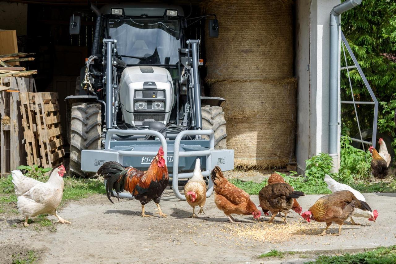 Agroturistika - "Domecek U Ovecek" Villa Horní Těrlicko Exteriör bild