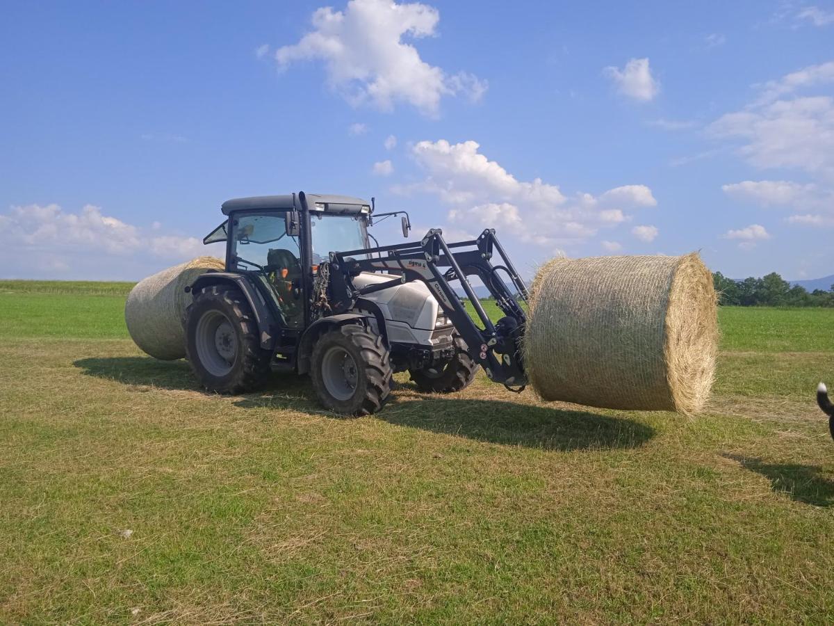 Agroturistika - "Domecek U Ovecek" Villa Horní Těrlicko Exteriör bild